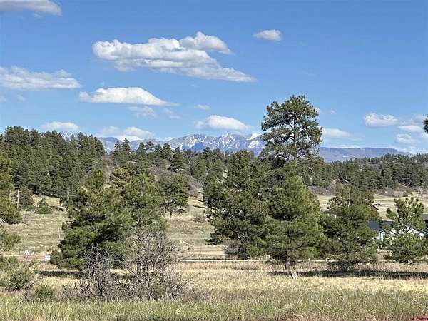 0.57 Acres of Residential Land for Sale in Pagosa Springs, Colorado