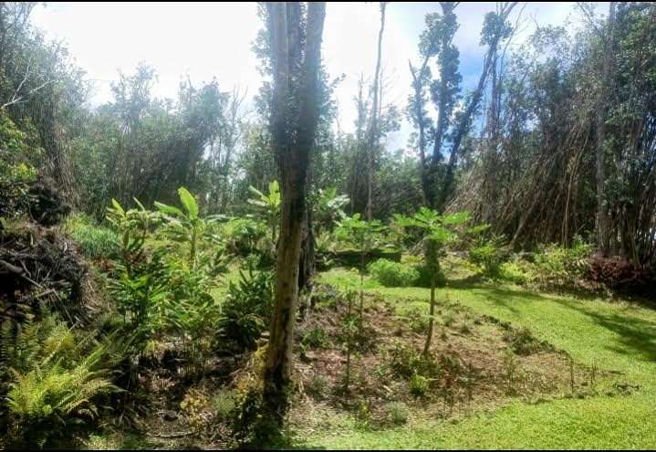 0.19 Acres of Residential Land for Sale in Pahoa, Hawaii