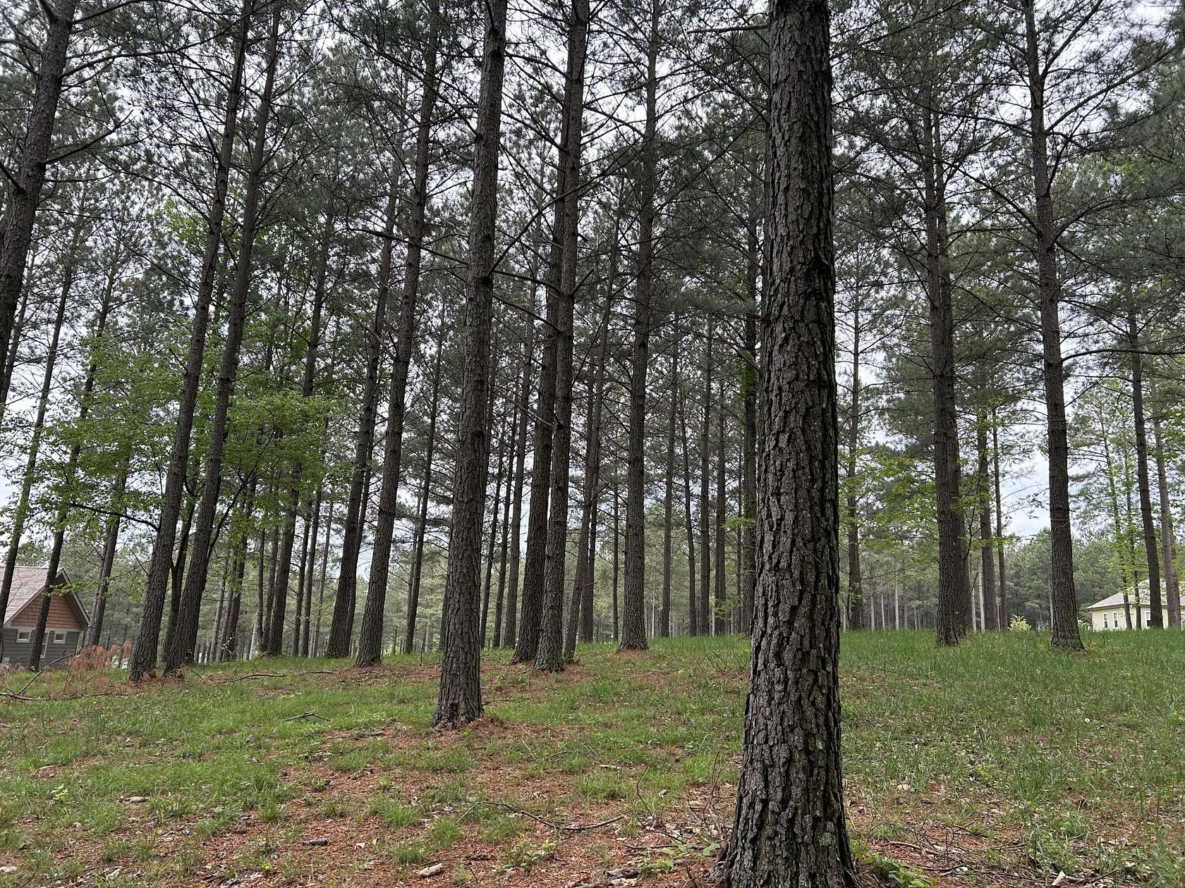 1.1 Acres of Residential Land for Sale in Jasper, Tennessee