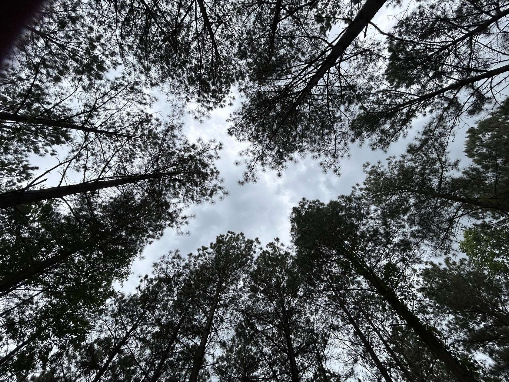 1.1 Acres of Residential Land for Sale in Jasper, Tennessee