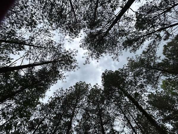 1.1 Acres of Residential Land for Sale in Jasper, Tennessee