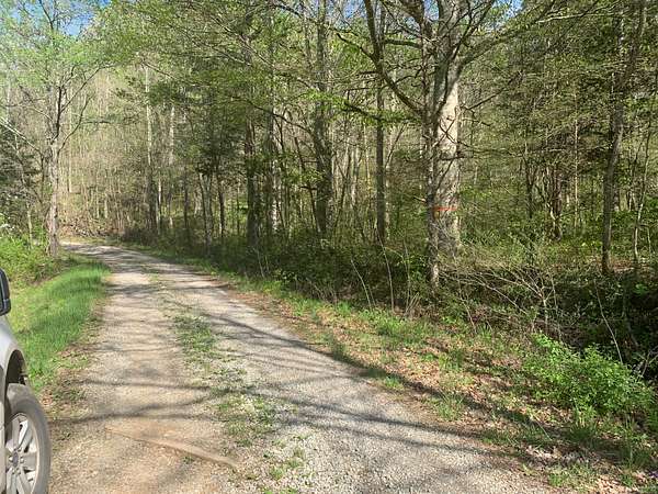 220 Acres of Recreational Land for Sale in Edmonton, Kentucky