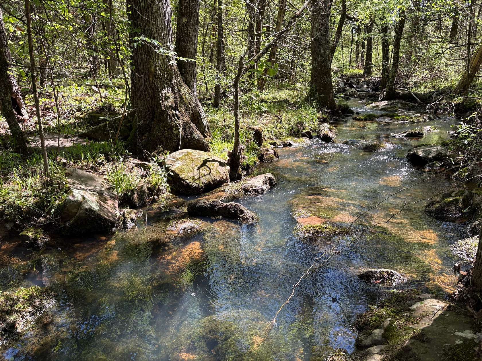 242 Acres of Recreational Land for Sale in Cecil, Arkansas