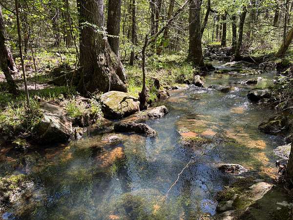 242 Acres of Recreational Land for Sale in Cecil, Arkansas