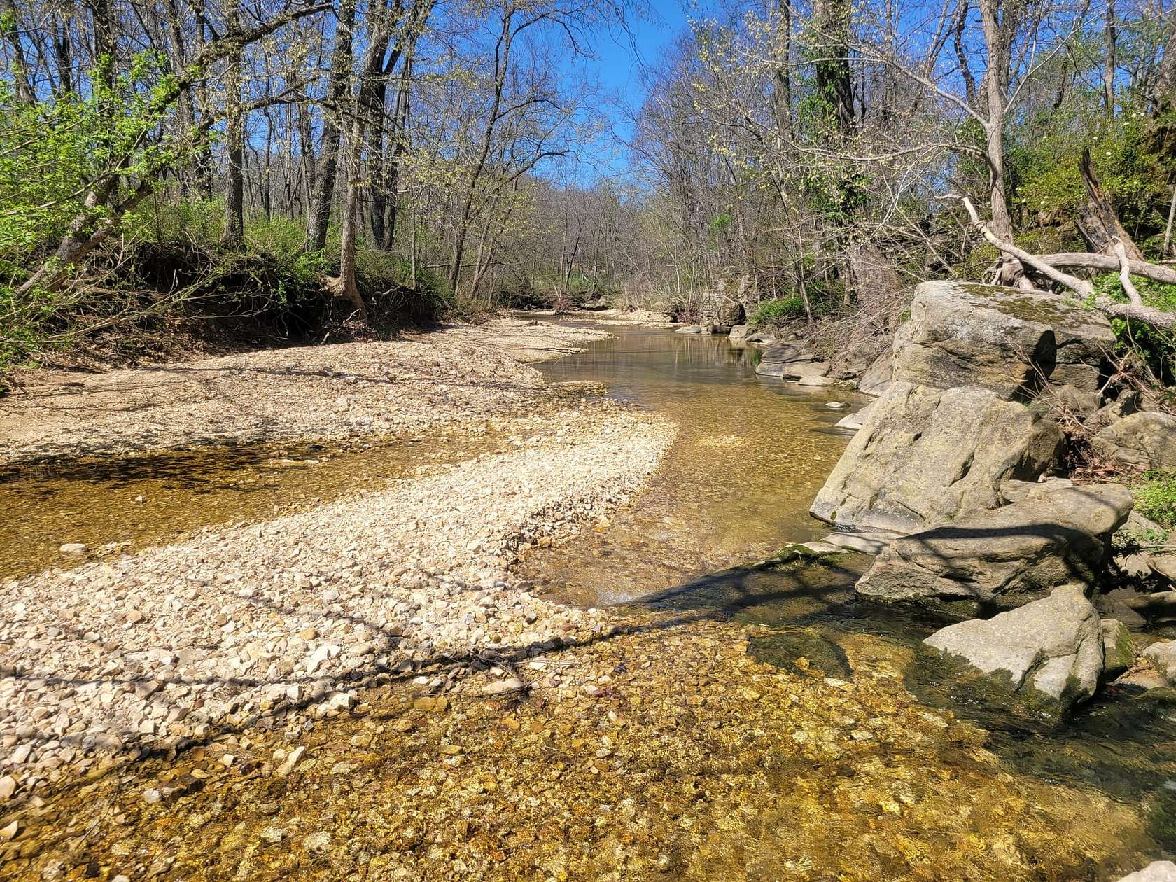 10 Acres of Land for Sale in Fordland, Missouri