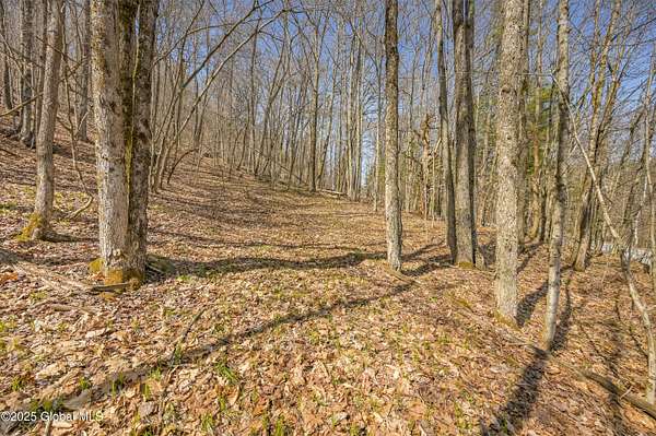 11.3 Acres of Recreational & Residential Land for Sale in East Worcester, New York