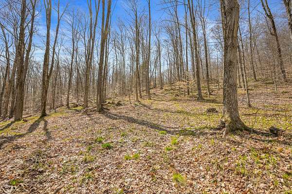 11.3 Acres of Recreational Land for Sale in Summit, New York