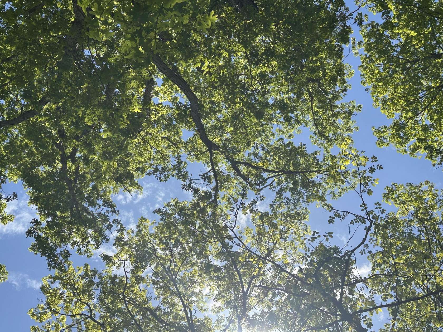 2.15 Acres of Residential Land for Sale in Jasper, Tennessee