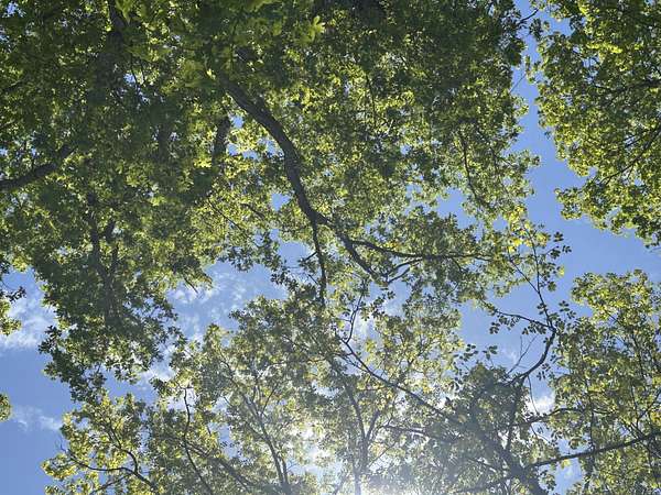 2.15 Acres of Residential Land for Sale in Jasper, Tennessee