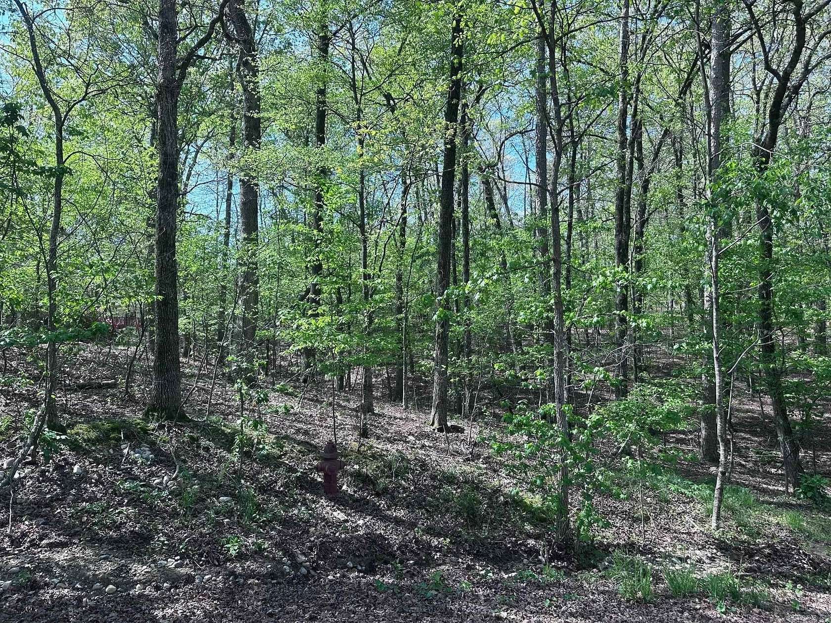 0.24 Acres of Residential Land for Sale in Hot Springs Village, Arkansas