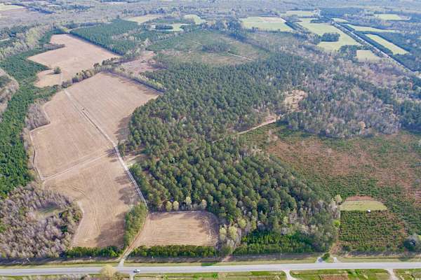 435 Acres of Land for Sale in Lake City, South Carolina