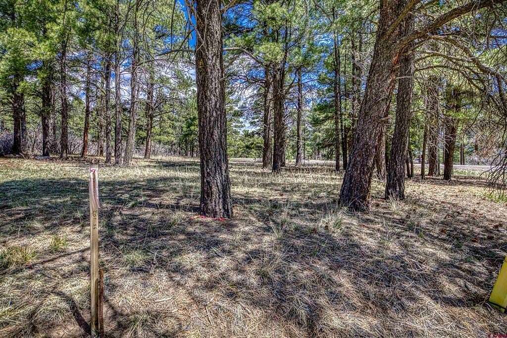 0.34 Acres of Residential Land for Sale in Pagosa Springs, Colorado