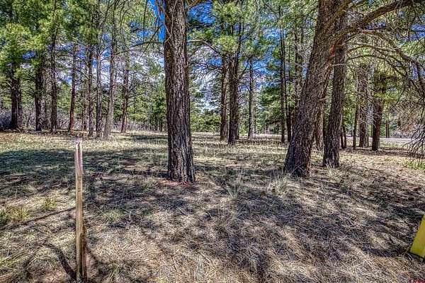 0.34 Acres of Residential Land for Sale in Pagosa Springs, Colorado
