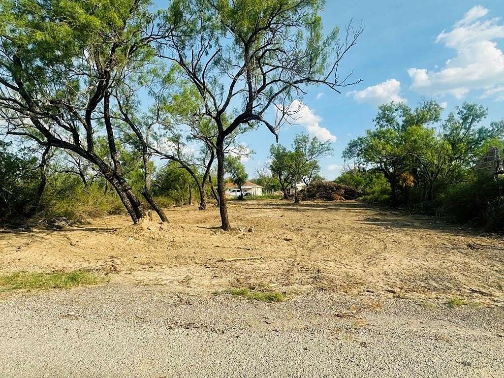 0.16 Acres of Residential Land for Sale in El Indio, Texas