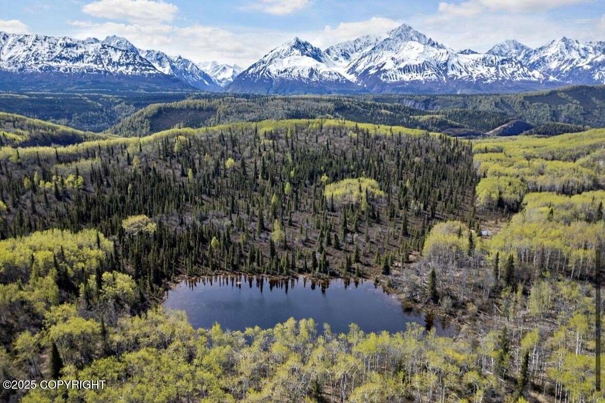 40 Acres of Land for Sale in Chickaloon, Alaska