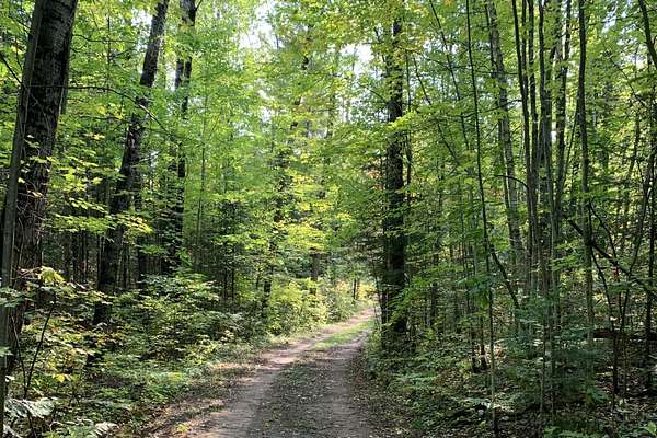 44.8 Acres of Recreational Land for Sale in Lac du Flambeau, Wisconsin