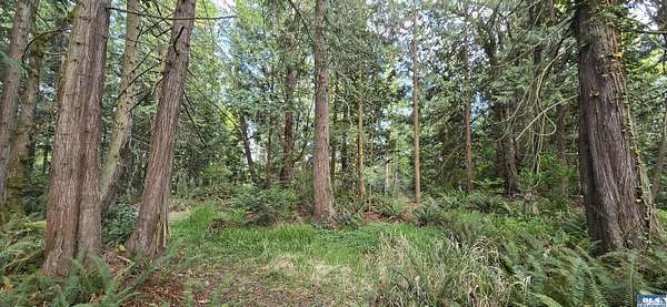 6.66 Acres of Mixed-Use Land for Sale in Sequim, Washington