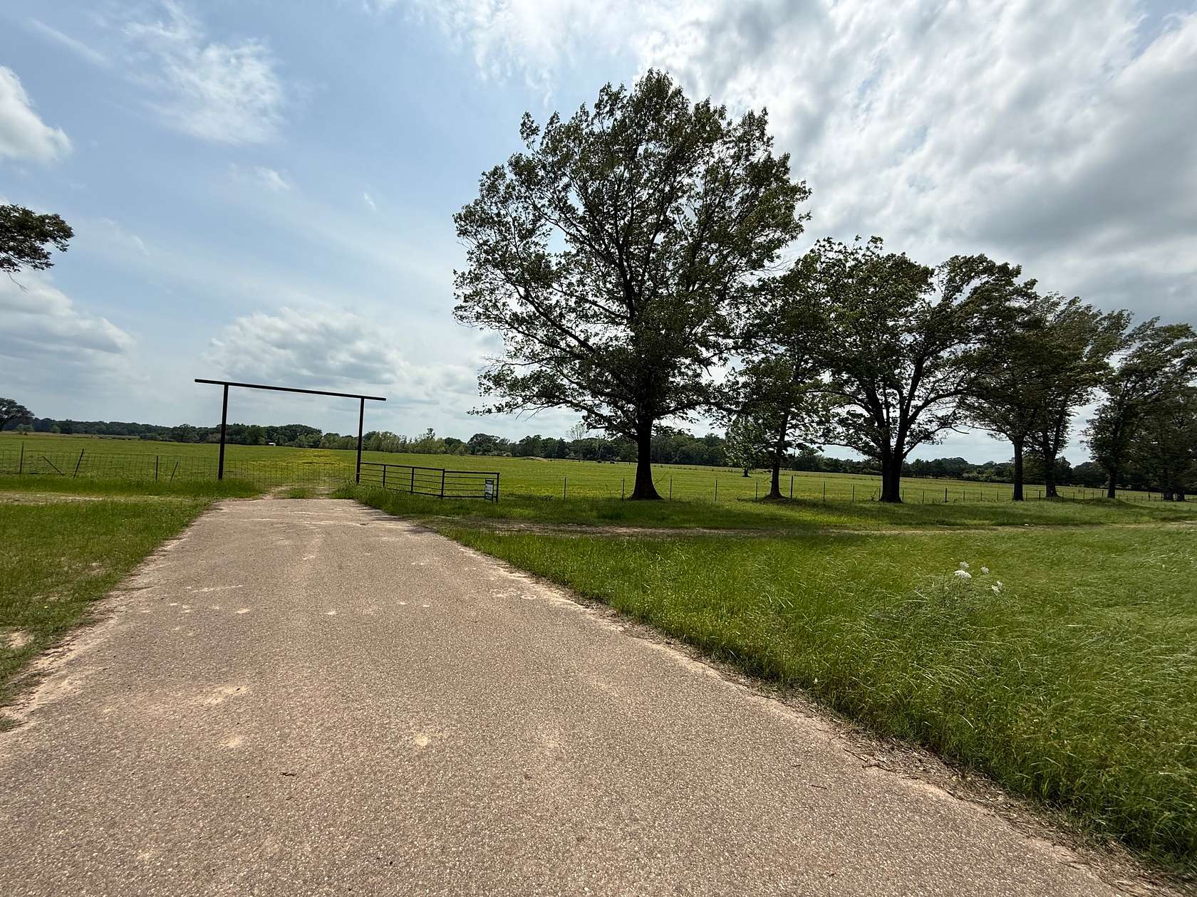 58.4 Acres of Land for Sale in De Kalb, Texas