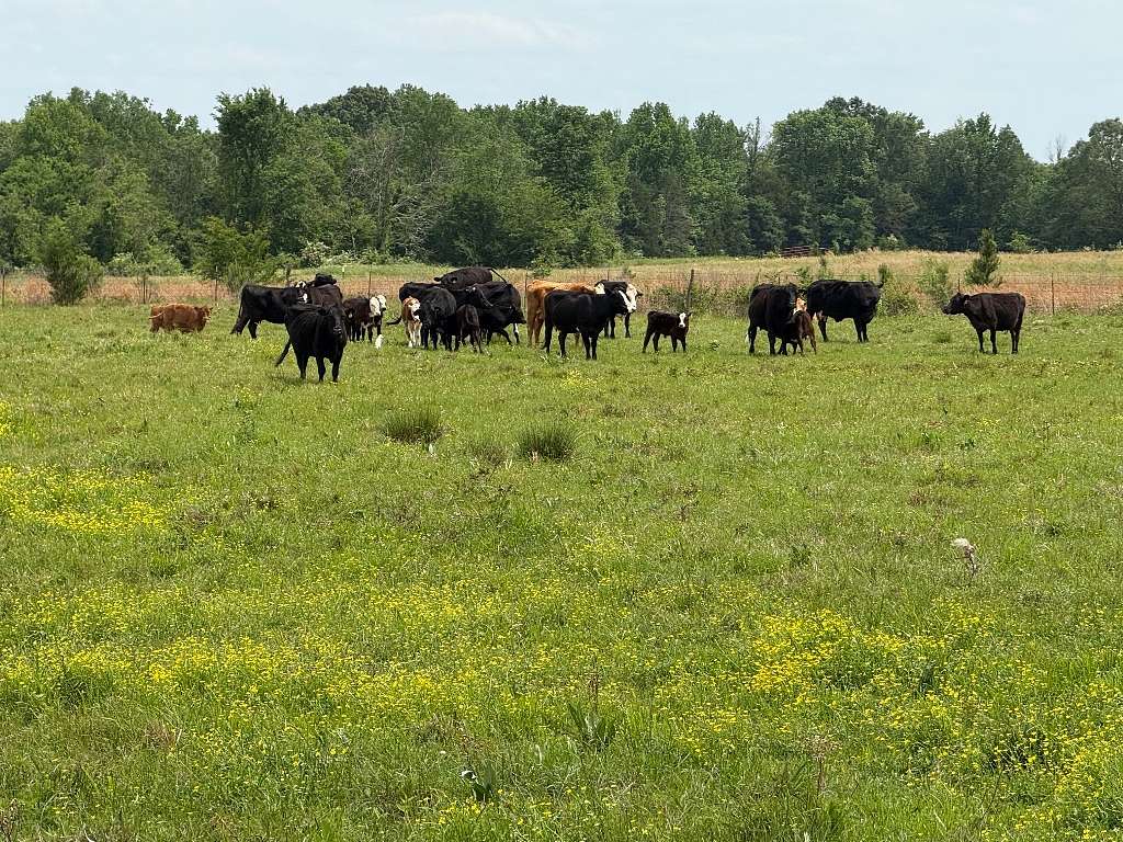 58.4 Acres of Agricultural & Residential Land for Sale in De Kalb, Texas