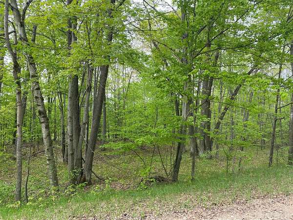0.45 Acres of Residential Land for Sale in Reed City, Michigan