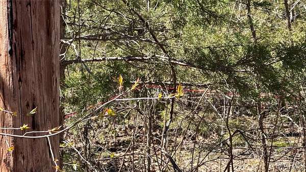 1.42 Acres of Residential Land for Sale in Bismarck, Missouri