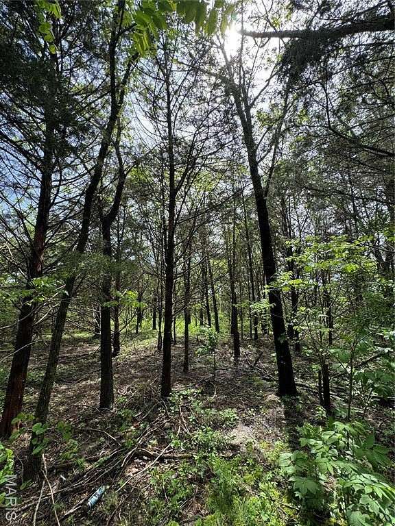 1.25 Acres of Residential Land for Sale in Licking, Missouri