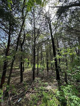 1.25 Acres of Residential Land for Sale in Licking, Missouri