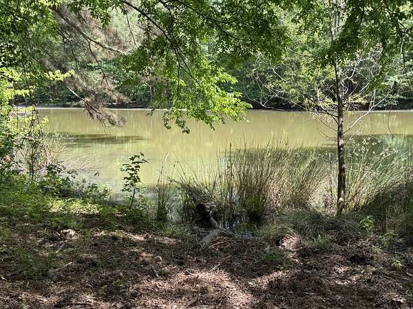 48 Acres of Recreational & Residential Land for Sale in Henderson, Texas