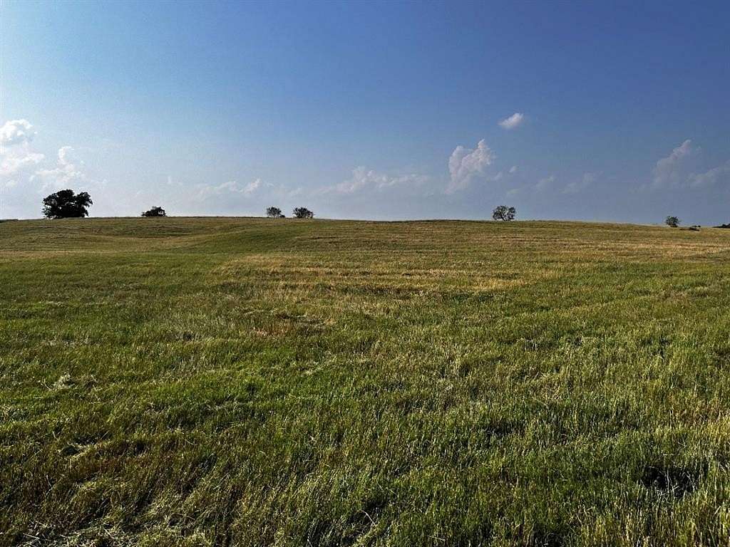20 Acres of Land for Sale in Blooming Grove, Texas
