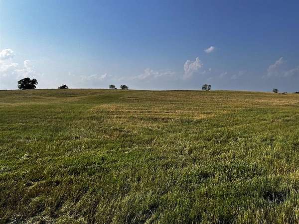 20 Acres of Land for Sale in Blooming Grove, Texas