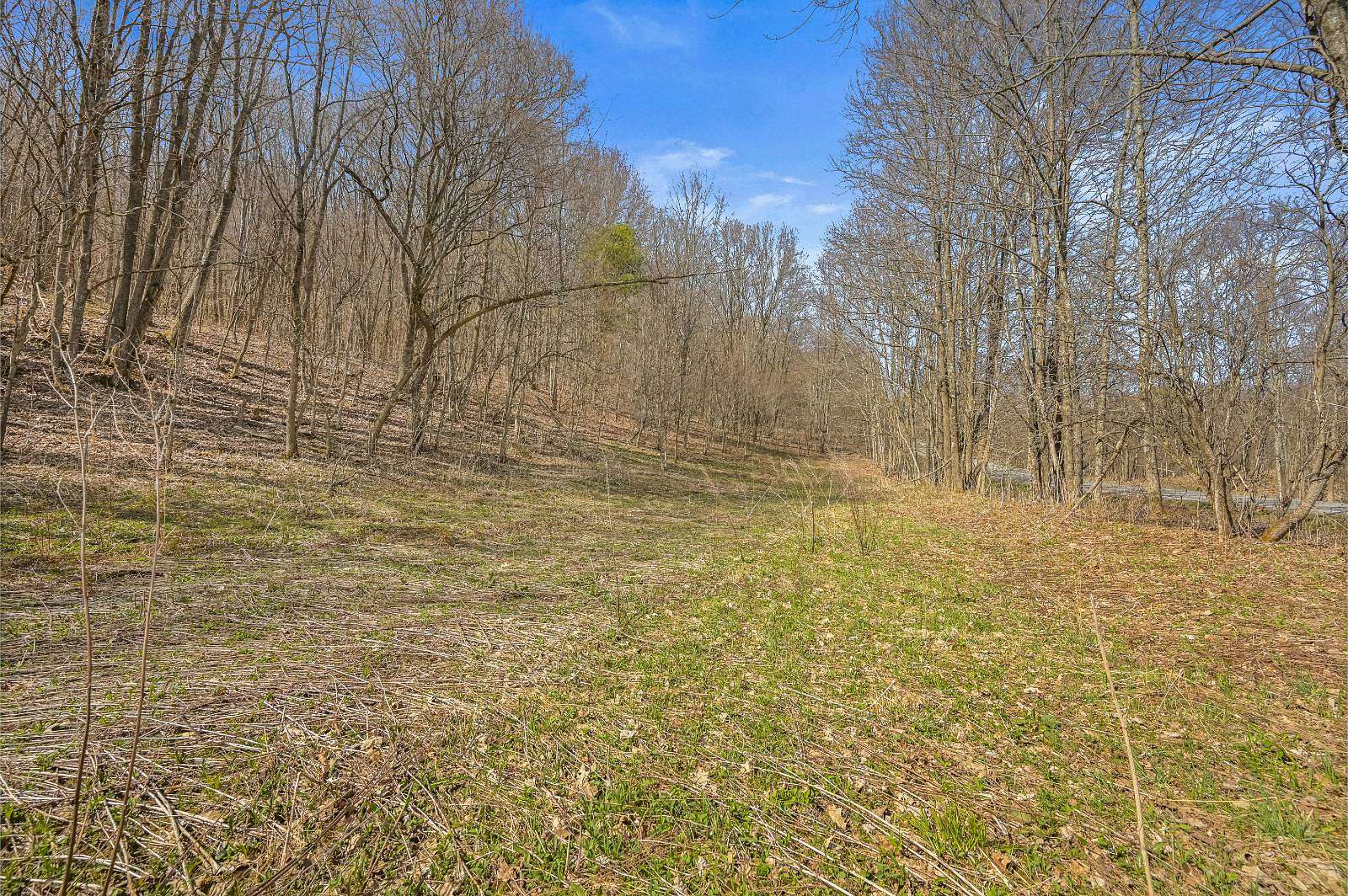 6 Acres of Land for Sale in Summit, New York