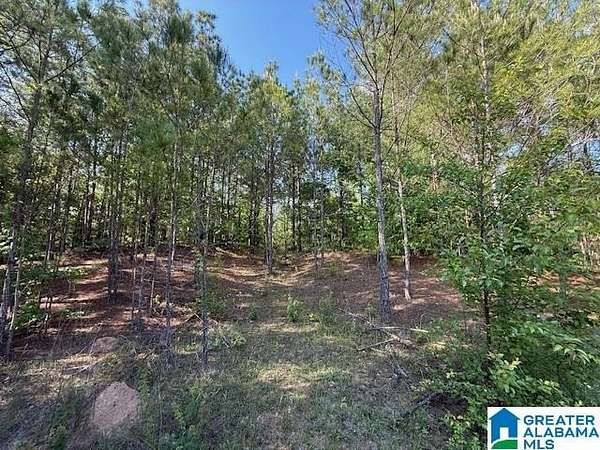 7.4 Acres of Land for Sale in Sylacauga, Alabama