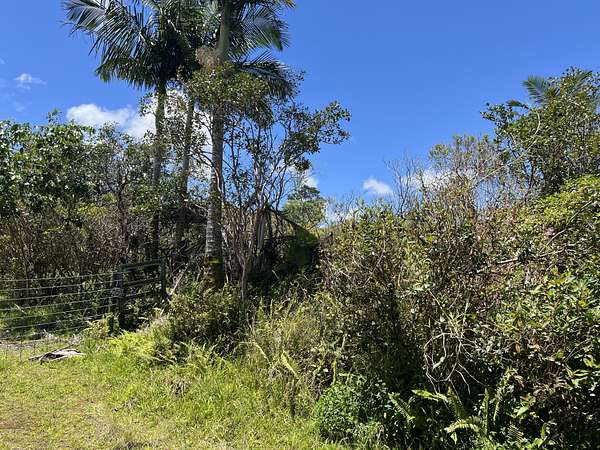 21.6 Acres of Agricultural Land for Sale in Pahoa, Hawaii