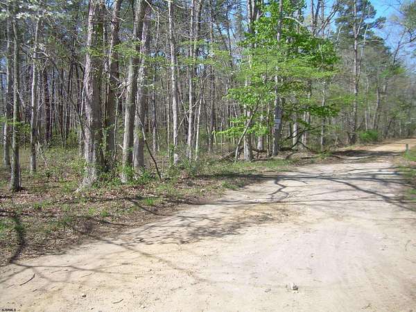 17 Acres of Land for Sale in Buena Vista Township, New Jersey