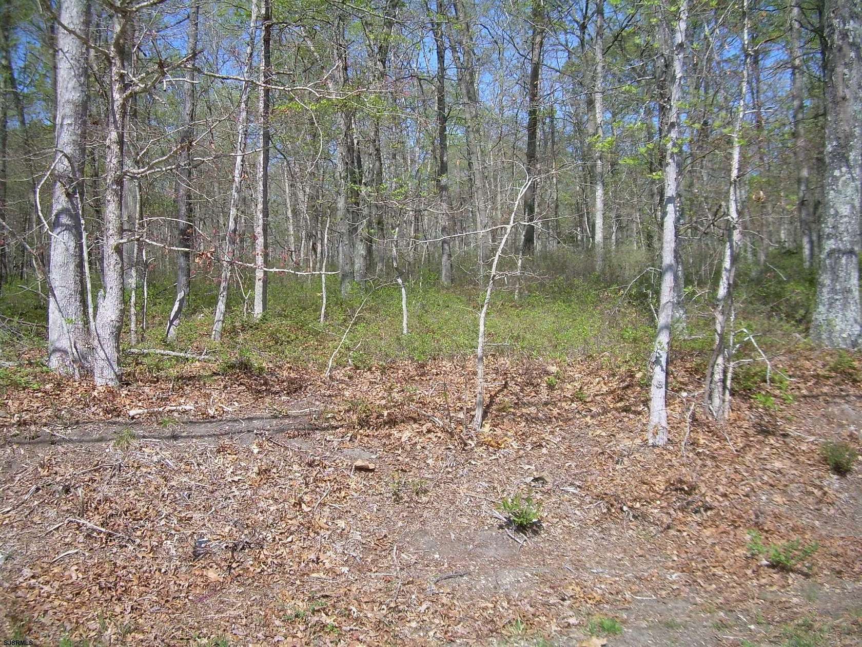 2.6 Acres of Residential Land for Sale in Buena Vista Township, New Jersey