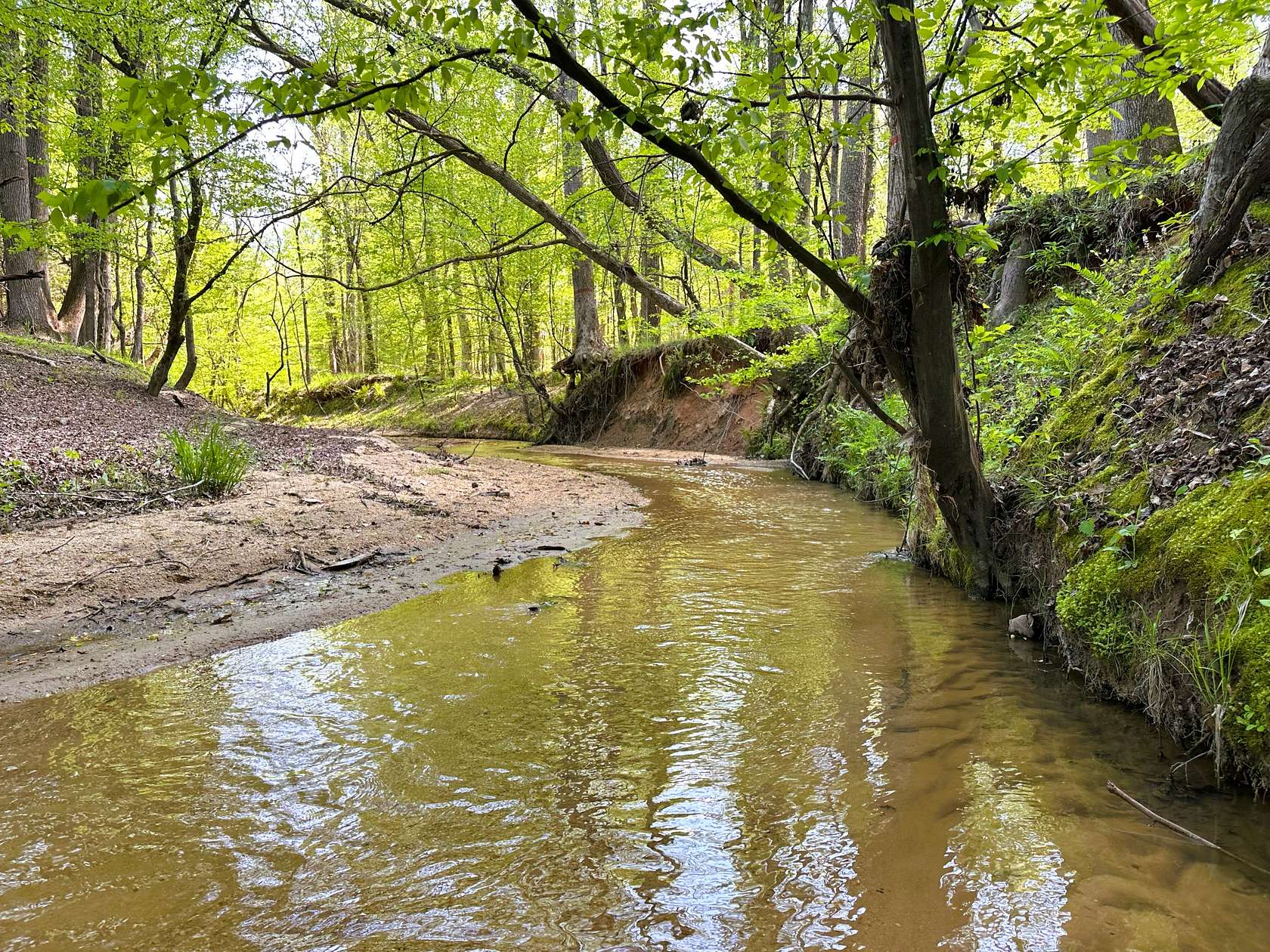 119 Acres of Recreational Land for Sale in Lockhart, South Carolina