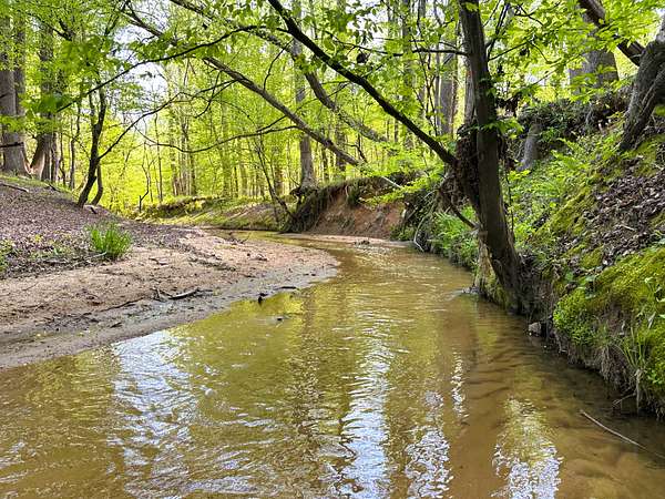 119 Acres of Recreational Land for Sale in Lockhart, South Carolina
