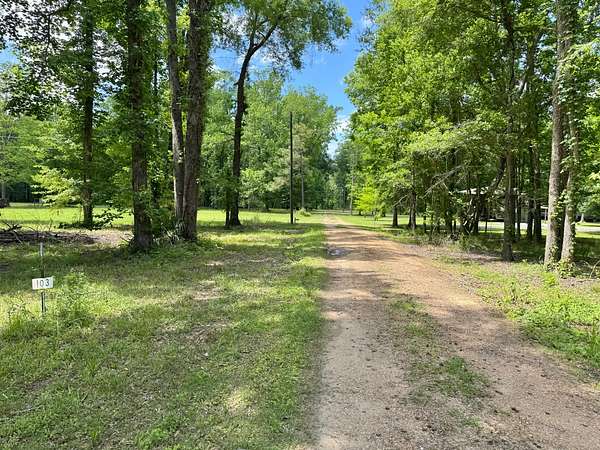 Land for Sale in Jonesville, Louisiana