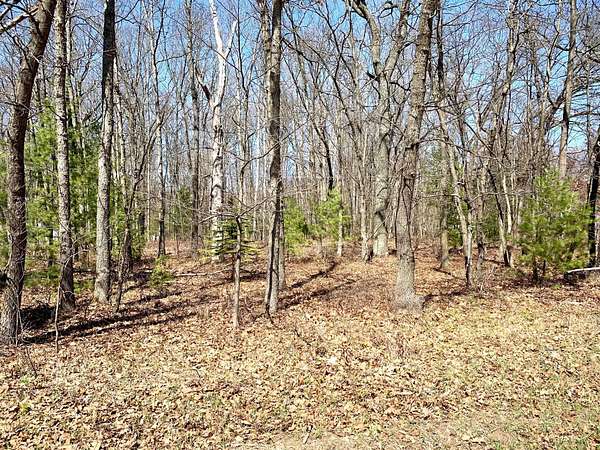 0.95 Acres of Residential Land for Sale in Houghton Lake, Michigan