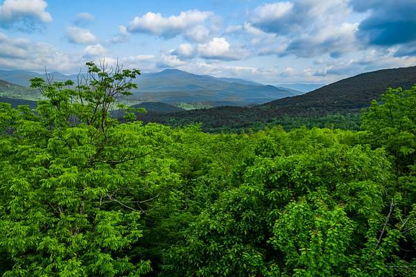 7.5 Acres of Residential Land for Sale in Keene, New York