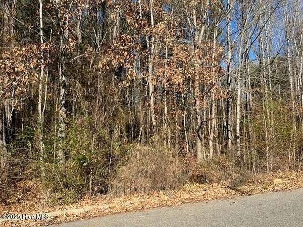 0.92 Acres of Residential Land for Sale in Ahoskie, North Carolina