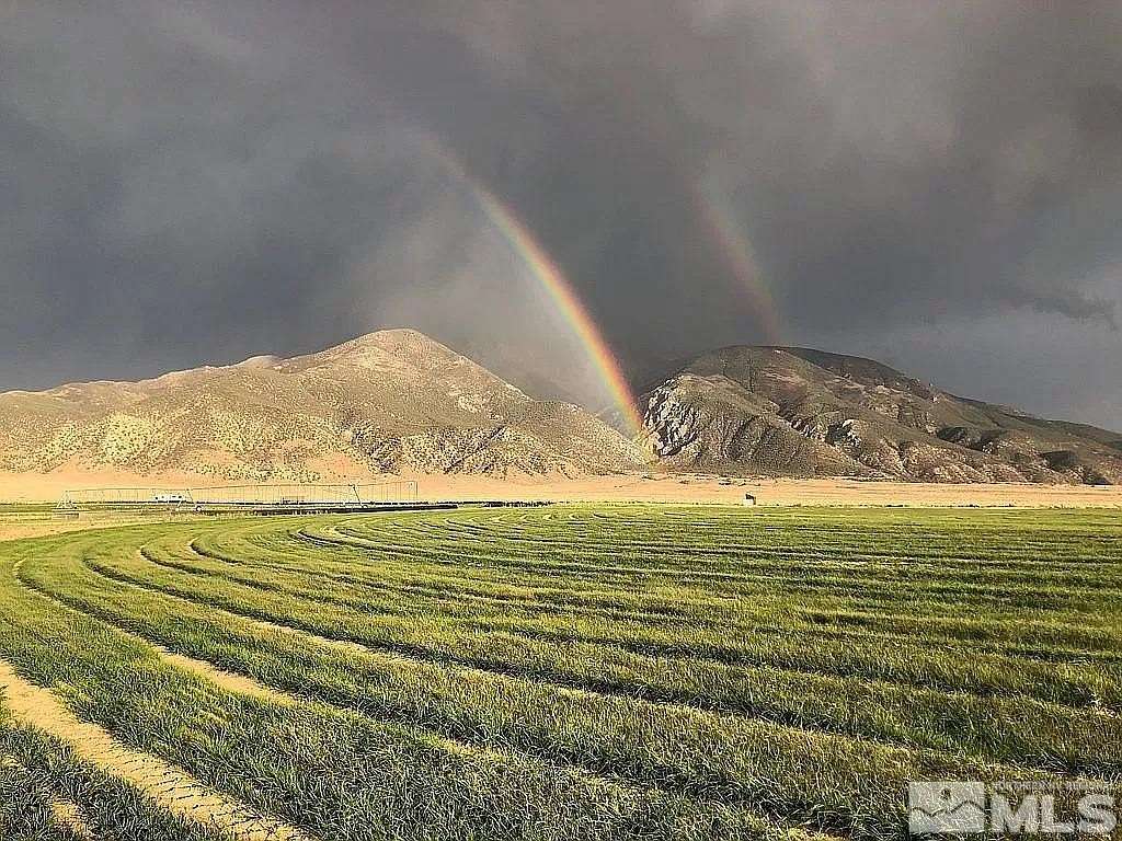 79.6 Acres of Land for Sale in Dyer, Nevada