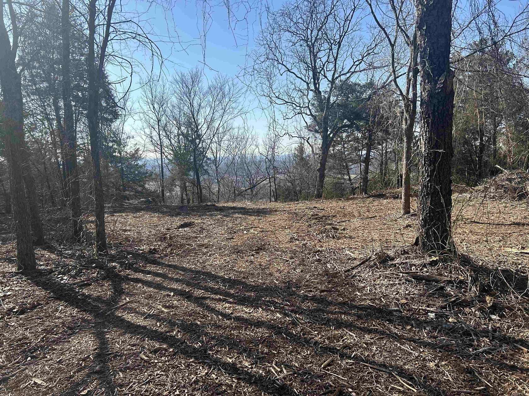 5 Acres of Residential Land for Sale in Pottsville, Arkansas