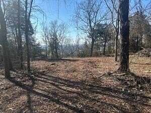 5 Acres of Residential Land for Sale in Pottsville, Arkansas