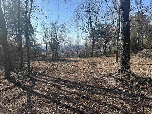 5 Acres of Residential Land for Sale in Pottsville, Arkansas