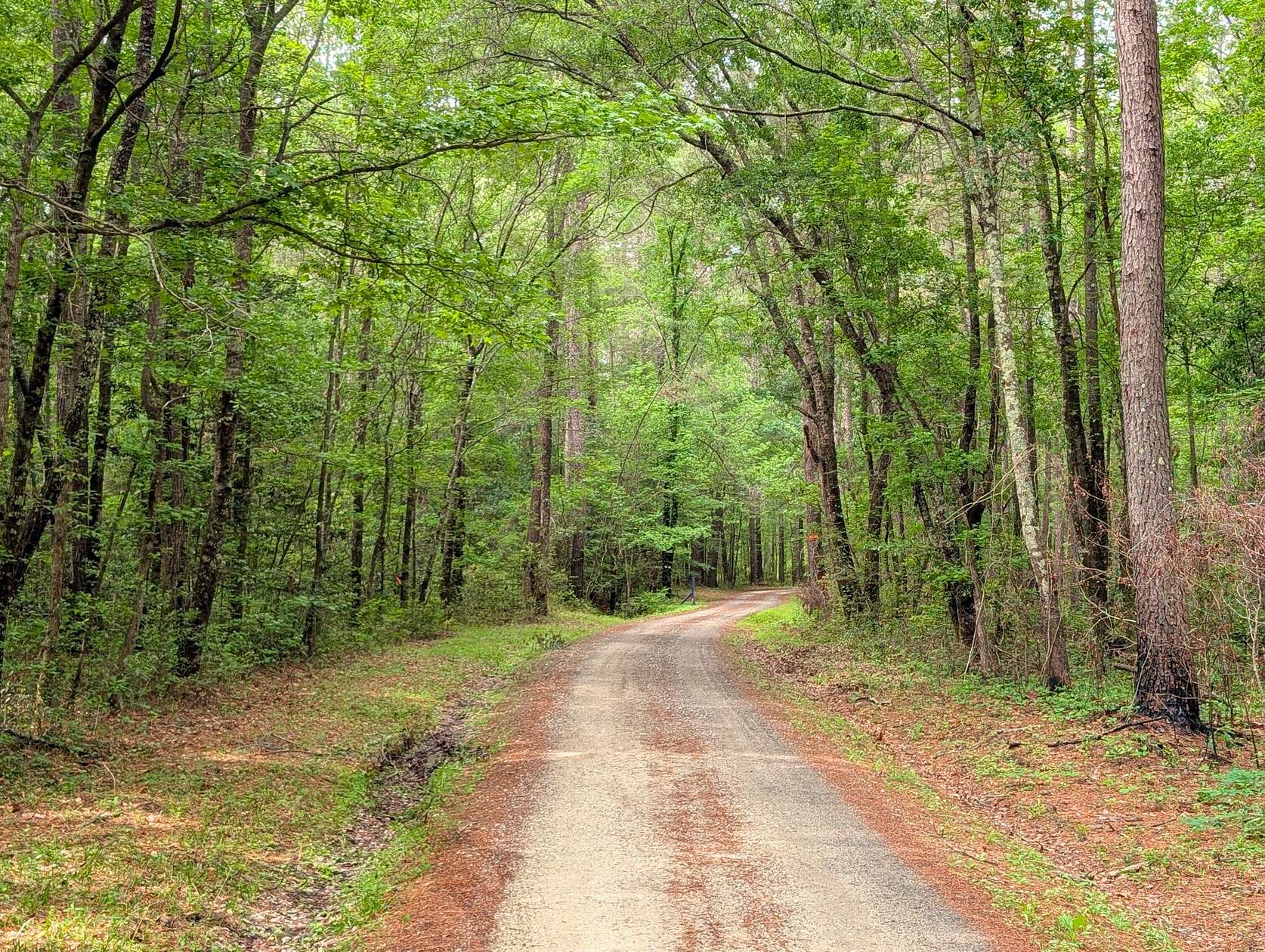 35.5 Acres of Recreational Land for Sale in Shulerville, South Carolina