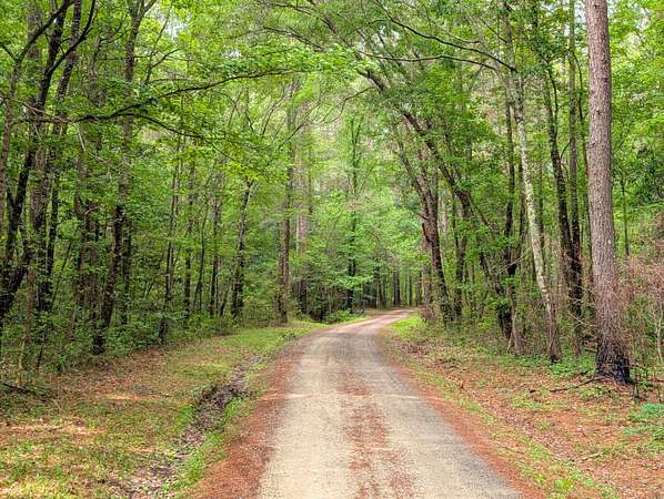 35.5 Acres of Recreational Land for Sale in Shulerville, South Carolina