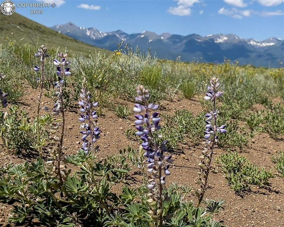 39.7 Acres of Recreational Land for Sale in Westcliffe, Colorado