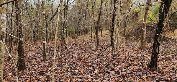 3 Acres of Land for Sale in Gladehill, Virginia