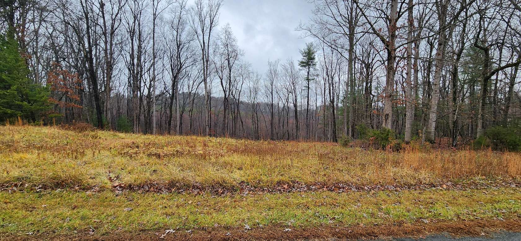 0.98 Acres of Residential Land for Sale in Rocky Mount, Virginia